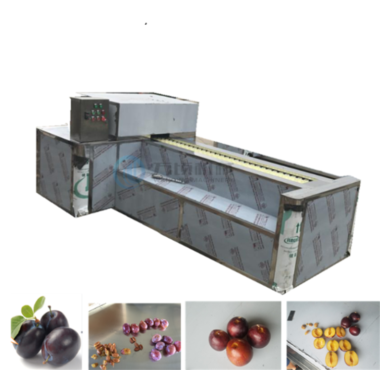 cherry pitter machine,hawthorn pit remoral machine,apricot extracting pit machine